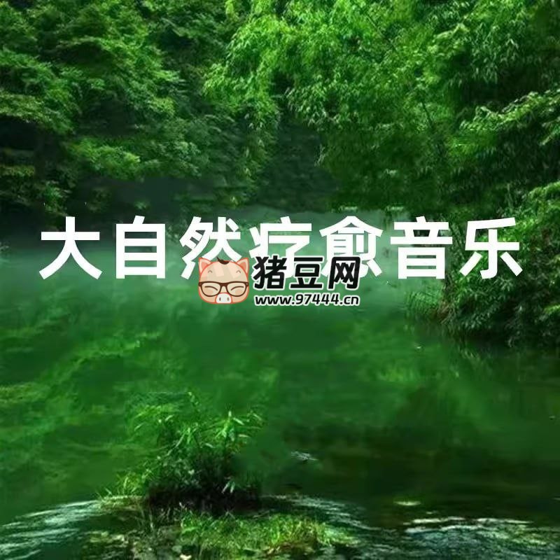 大自然音樂系列合集