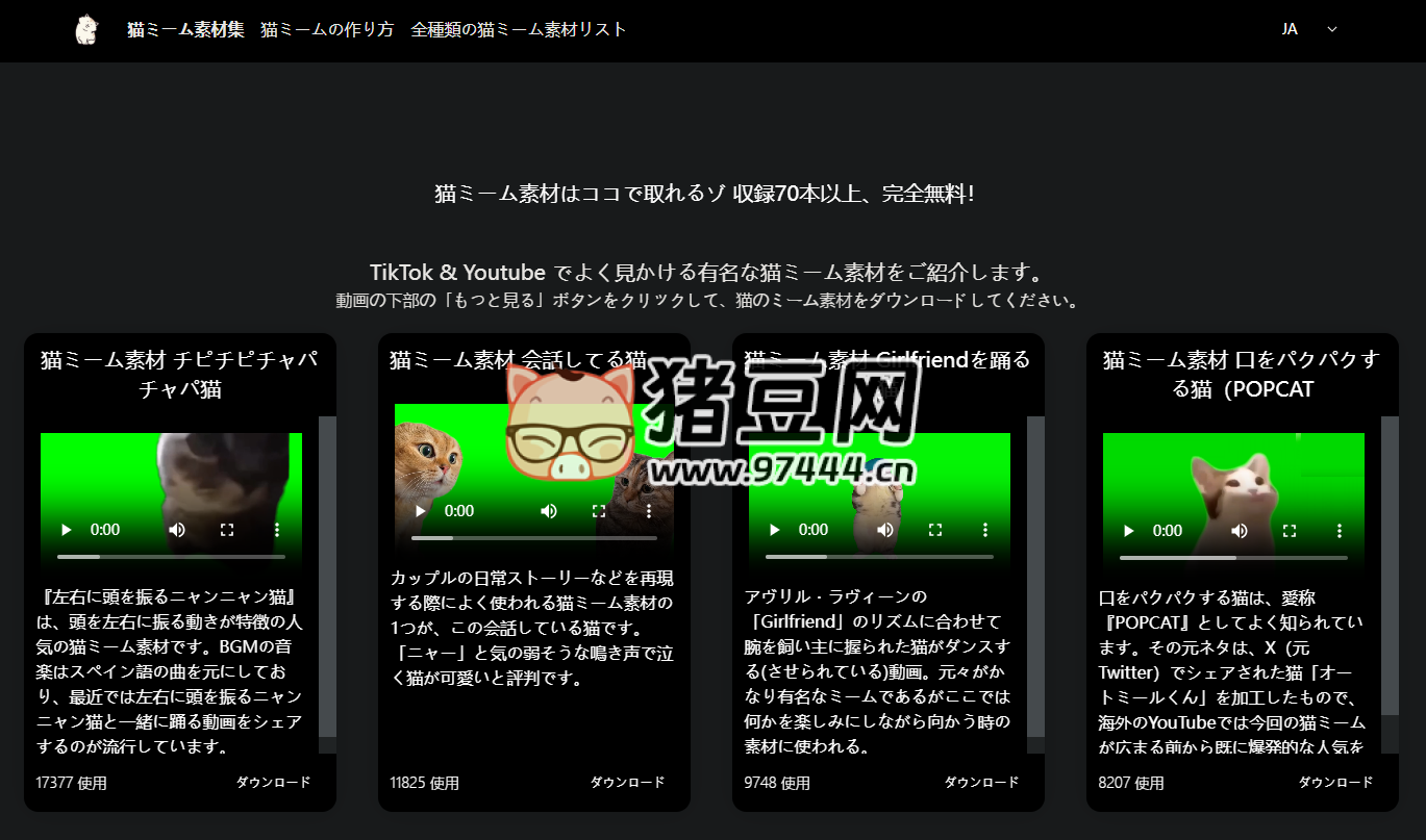貓咪迷因素材集：70 種免費(fèi)搞笑貓表情和視頻素材，覆蓋各種風(fēng)格
