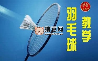 羽毛球教學(xué)課程大合集