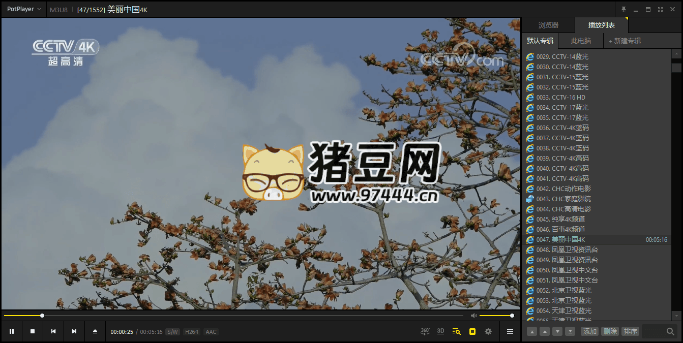 PotPlayer v1.7.22494 綠色版