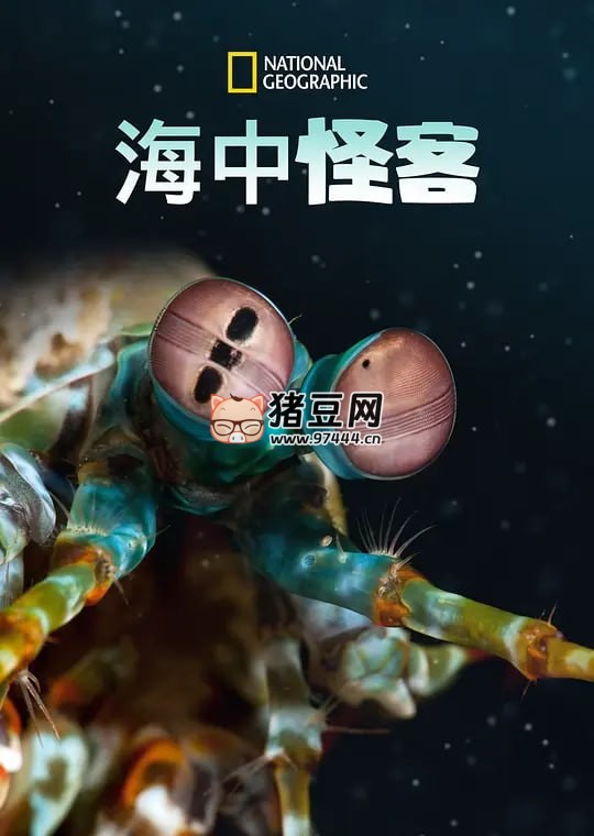 《海洋異物志》紀(jì)錄片 Ocean's Weirdest (2022)